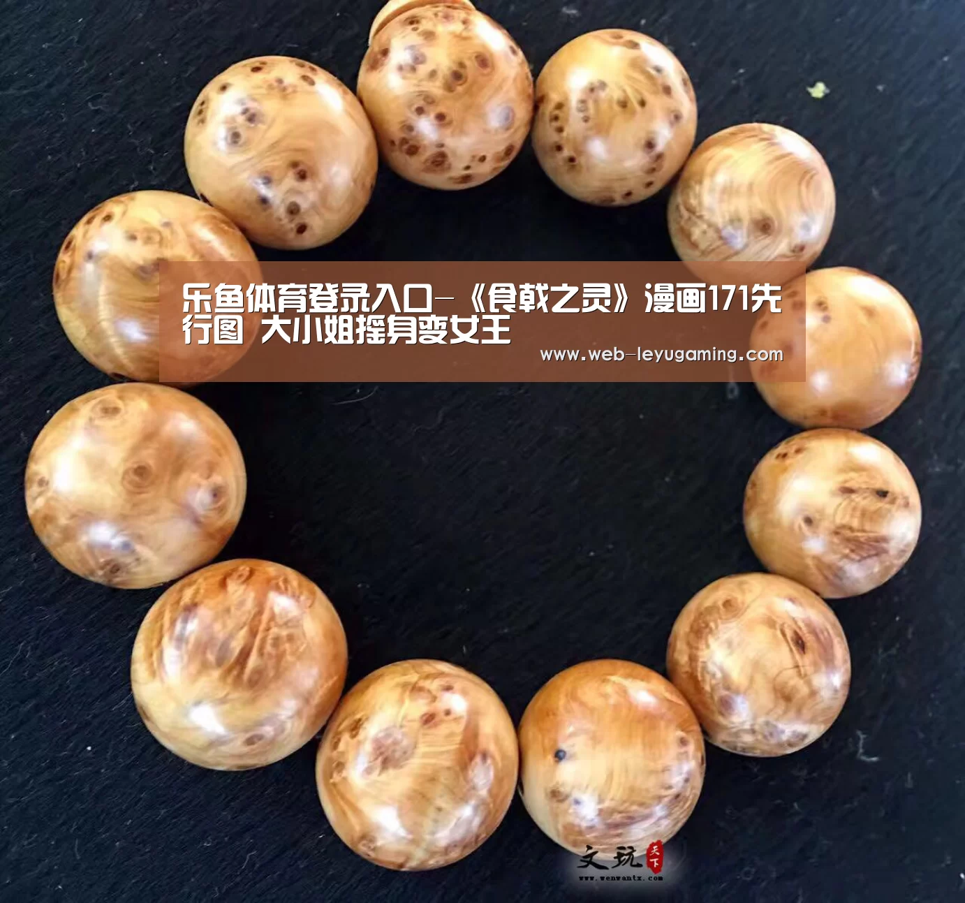 乐鱼体育在线登陆