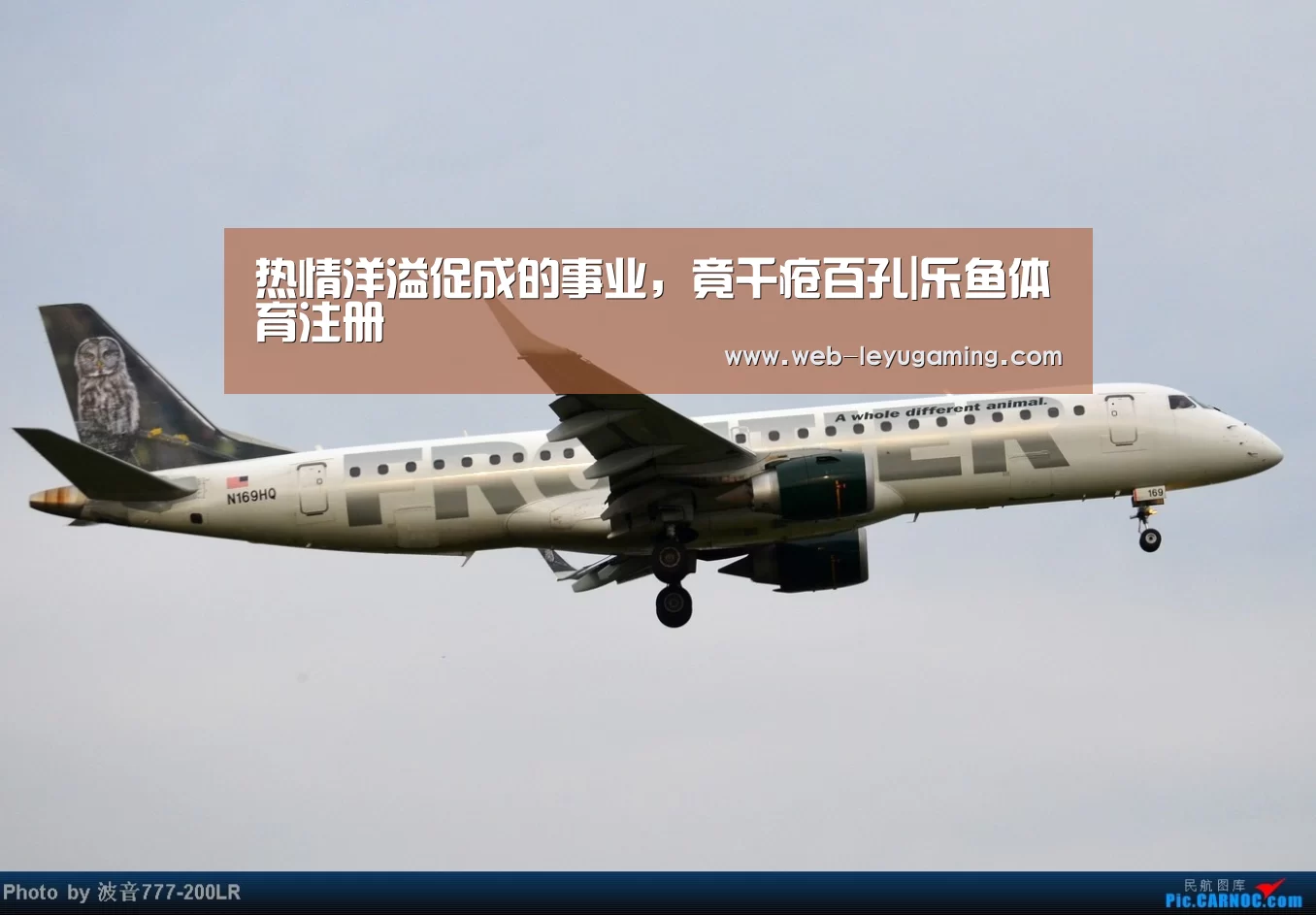 乐鱼体育官方网站