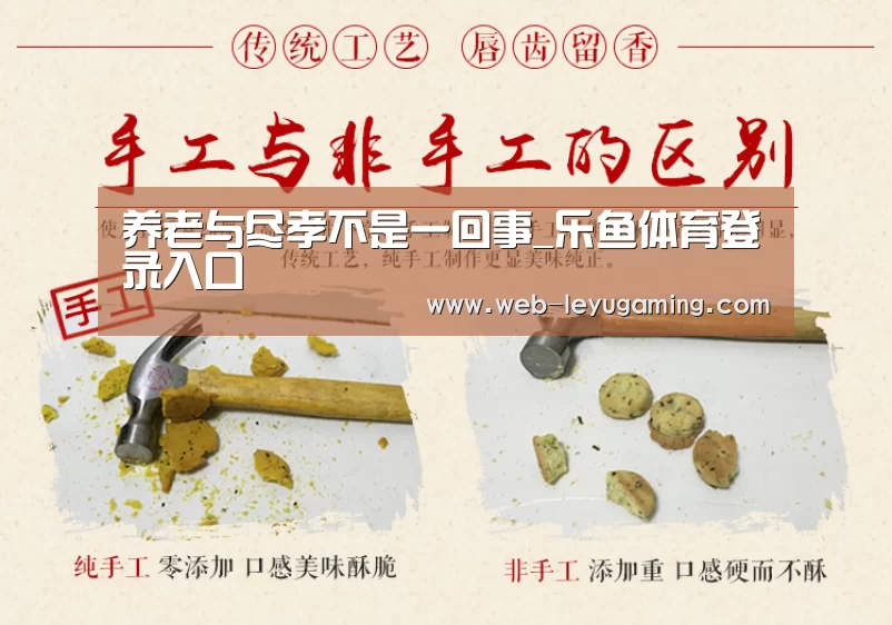 养老与尽孝不是一回事_乐鱼体育登录入口