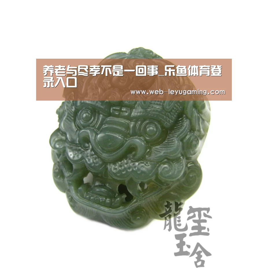 养老与尽孝不是一回事_乐鱼体育登录入口(图2) 乐鱼体育注册