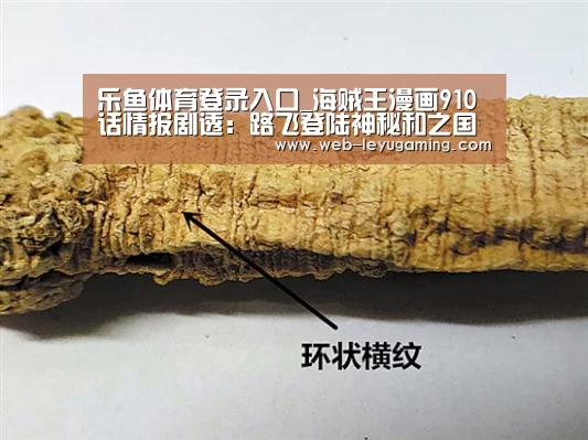 乐鱼体育注册