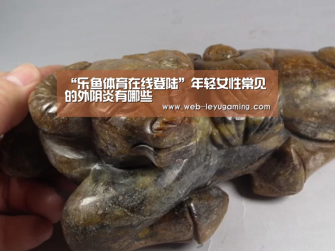 “乐鱼体育在线登陆”年轻女性常见的外阴炎有哪些